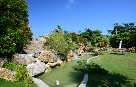 koi Pond